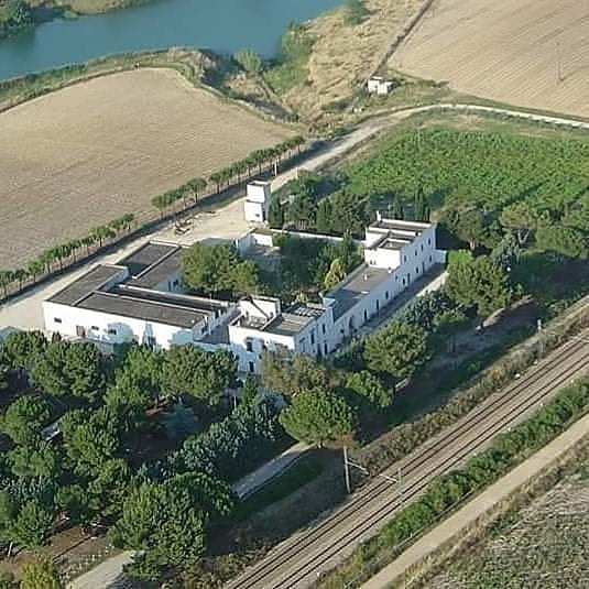 CIBO, ARTIGIANATO E PRODOTTI DELLA NOSTRA TERRA