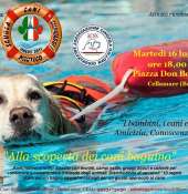 Alla scoperta dei cani bagnino: i bambini, i cani e il mare