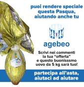 Un’asta pro-Agebeo