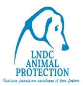 Lega Naz.le per la Difesa del Cane Sez. Conversano - Confronto Candidati Sindaci sui diritti degli animali