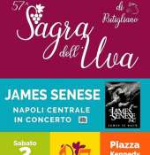 James Senese Napoli Centrale in concerto alla 57esima ''Sagra dell’Uva'' di Rutigliano