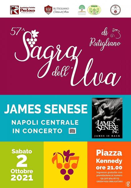 James Senese Napoli Centrale in concerto alla 57esima ''Sagra dell’Uva'' di Rutigliano