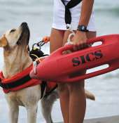 Lunedì la consegna di una targa di riconoscimento all’Associazione Scuola Cani Salvataggio Nautico per i 10 anni di vita dell’organizzazione di volontariato