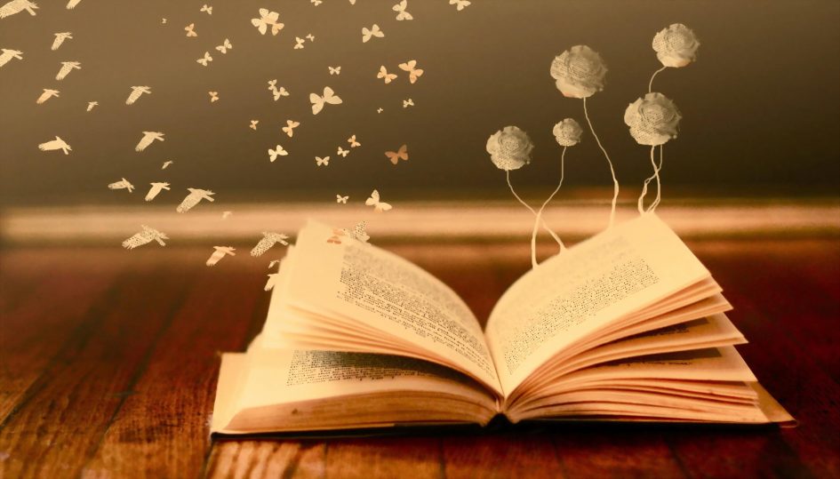 Besa Muci Editore - Novita' in libreria dal 19 Gennaio