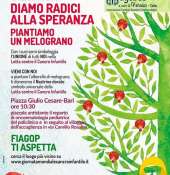 Lotta contro il cancro infantile ''Diamo radici alla speranza, piantiamo un Melograno'' - Anche Agebeo e Amici di Vincenzo Onlus partecipa all'iniziativa
