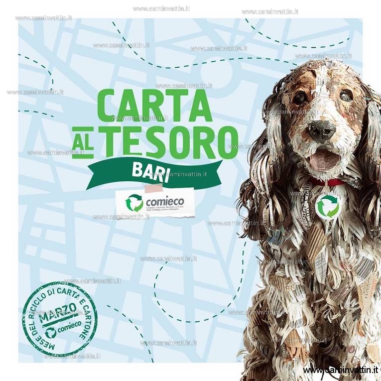 CARTA AL TESORO